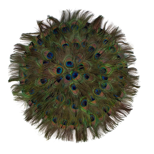 [FHD012--N] Feather Placemat Peacock 16 inch Dia --Natural