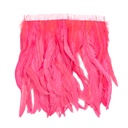 Pink Orient
