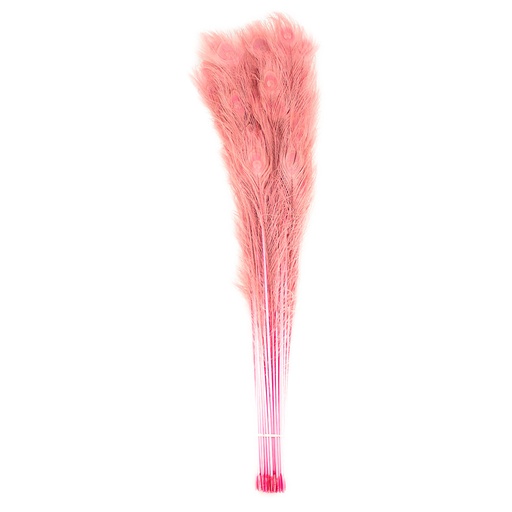 [P40B--CP] Peacock Eyes Bleach Selected 25-40 inch --Candy Pink