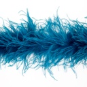 Peacock Blue