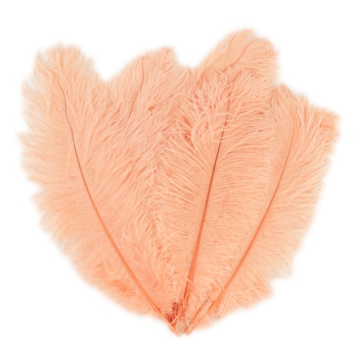 [B806--AB] Ostrich Plumes Selected 17 inch & UP   1PC PKG --Apricot Blush