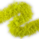 Fluorescent Yellow