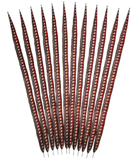 [LP39ART--R] Faux Lady Amherst Tails 39 inch 1PC  --Red