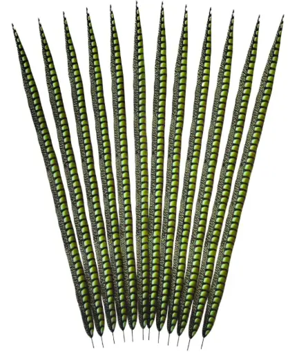 [LP39ART--LM] Faux Lady Amherst Tails 39 inch 1PC  --Lime
