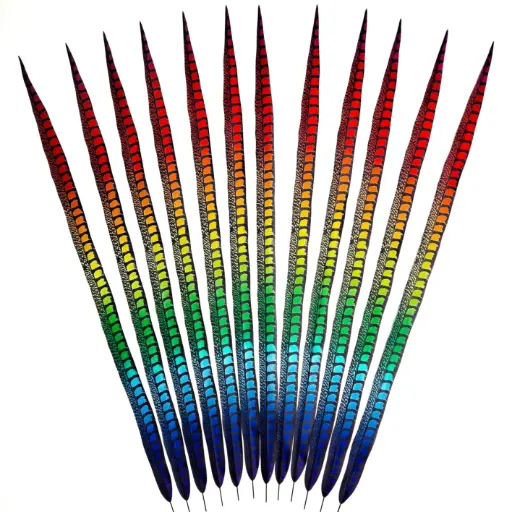 [LP39ARTS--RAINBOW] Faux Lady Amherst Tails 39 inch 1PC  --Gold/Kelly/Orange/Purple/Red/Royal