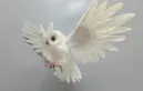 [BOWL24X10-FLY--W] Flying Owl 24x10 inch --White