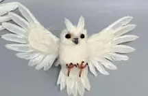 [BOWL12X6FLY--W] Flying Owl 12x6_5 inch --White