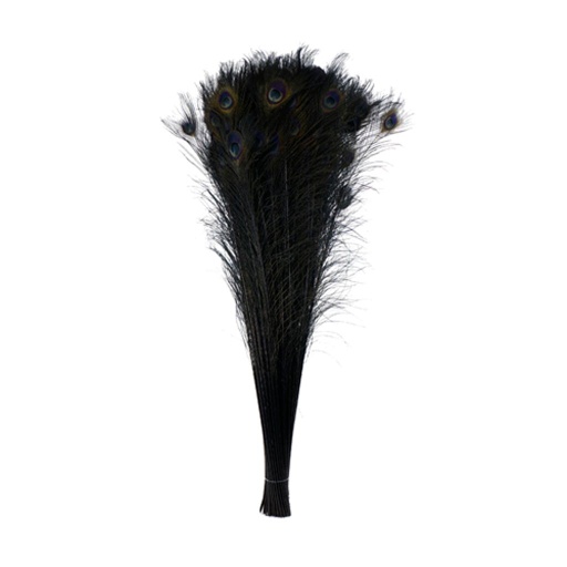 [P40B--BL] Peacock Eyes Bleach Selected 25-40 inch --Black