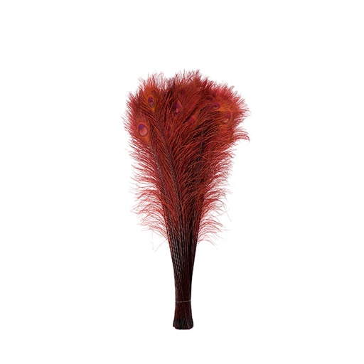 [P40B--BU] Peacock Eyes Bleach Selected 25-40 inch --Burgundy