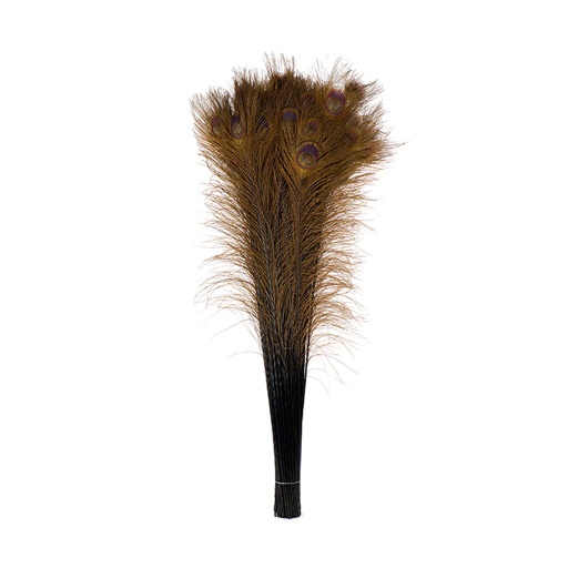 [P40B--BN] Peacock Eyes Bleach Selected 25-40 inch --Brown