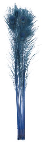 [P40B--DKT] Peacock Eyes Bleach Selected 25-40 inch --Dark Turquoise