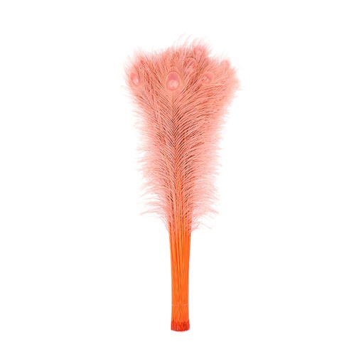 [P40B--DRE] Peacock Eyes Bleach Selected 25-40 inch --Dusty Rose