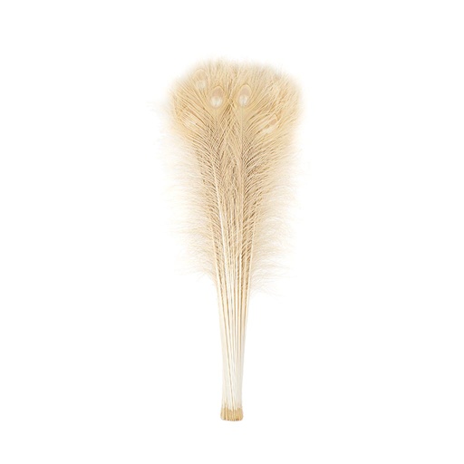 [P40B--EG] Peacock Eyes Bleach Selected 25-40 inch --Eggshell