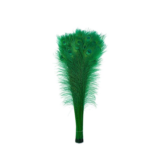 [P40B--K] Peacock Eyes Bleach Selected 25-40 inch --Kelly