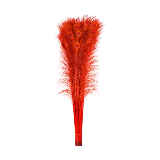 [P40B--R] Peacock Eyes Bleach Selected 25-40 inch --Red
