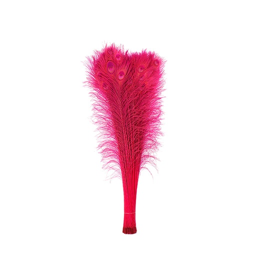 [P40B--SP] Peacock Eyes Bleach Selected 25-40 inch --Shocking Pink
