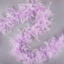 Orchid