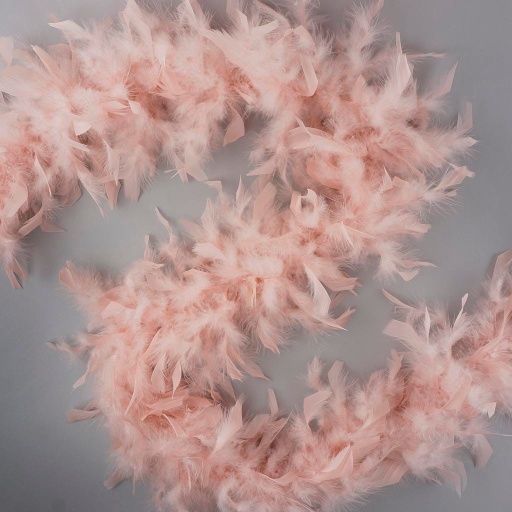 [5-SF40--CHP] Chandelle Boa Light Weight 2yd --Champagne
