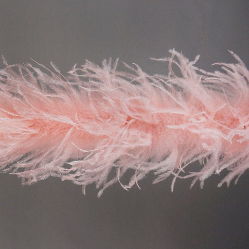 [5-TWOPLY--CHP] Ostrich Boa Two Ply 2yd --Champagne