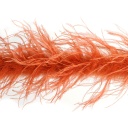 Cinnamon