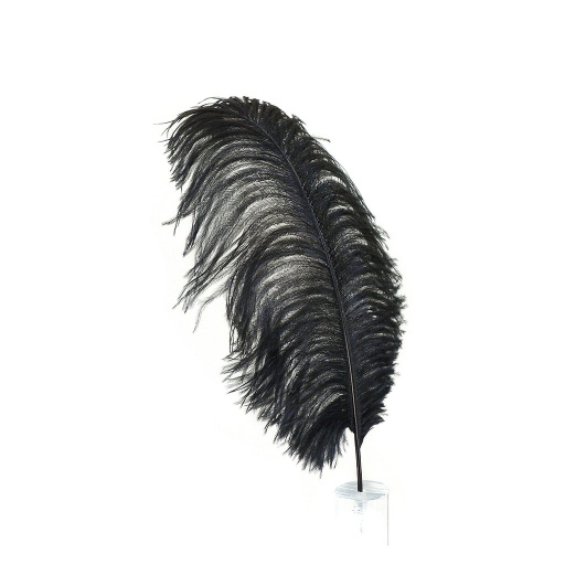 [B806--BL] Ostrich Plumes Selected 17 inch & UP   1PC PKG --Black