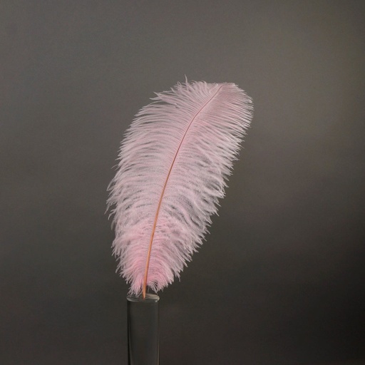 [B806--CP] Ostrich Plumes Selected 17 inch & UP   1PC PKG --Candy Pink
