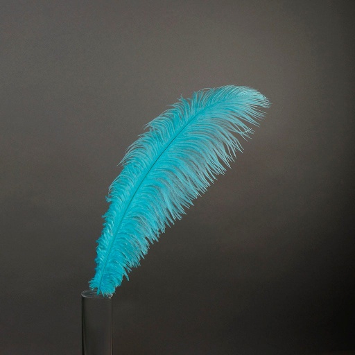 [B806--LT] Ostrich Plumes Selected 17 inch & UP   1PC PKG --Light Turquoise