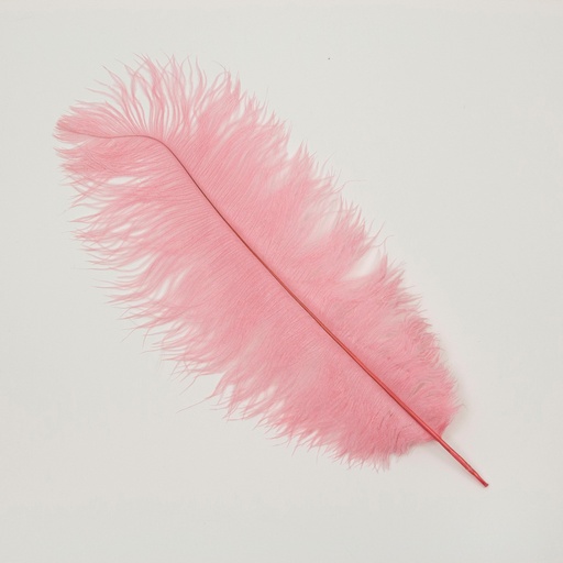 [B806--MG-PPR] Ostrich Plumes Selected 17 inch & UP   1PC PKG --Met Gala Potpourri