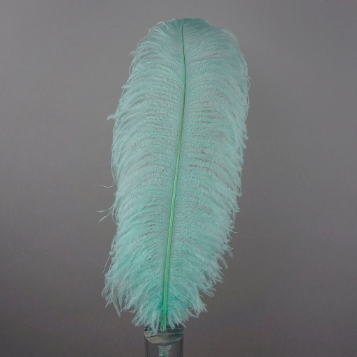 [B806--MT] Ostrich Plumes Selected 17 inch & UP   1PC PKG --Mint
