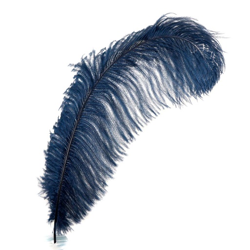 [B806--NY] Ostrich Plumes Selected 17 inch & UP   1PC PKG --Navy