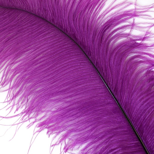 [B806--PU] Ostrich Plumes Selected 17 inch & UP   1PC PKG --Purple