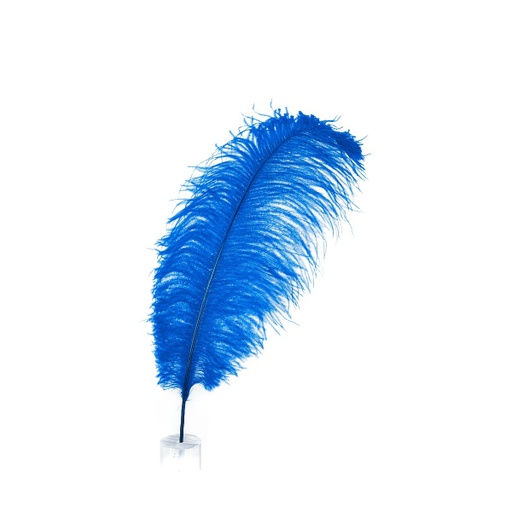 [B806--RL] Ostrich Plumes Selected 17 inch & UP   1PC PKG --Royal