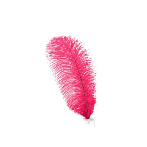 [B806--SP] Ostrich Plumes Selected 17 inch & UP   1PC PKG --Shocking Pink