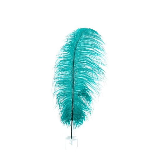 [B806--TE] Ostrich Plumes Selected 17 inch & UP   1PC PKG --Teal