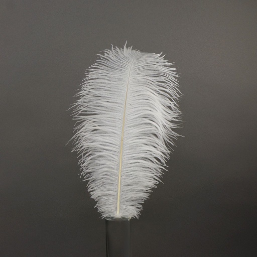 [B806--W] Ostrich Plumes Selected 17 inch & UP   1PC PKG --White