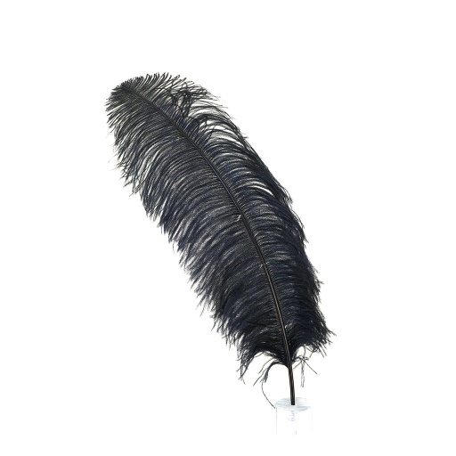 [OP25-25--BL] Ostrich Prime Femina 17-27 inch   25PC PKG --Black