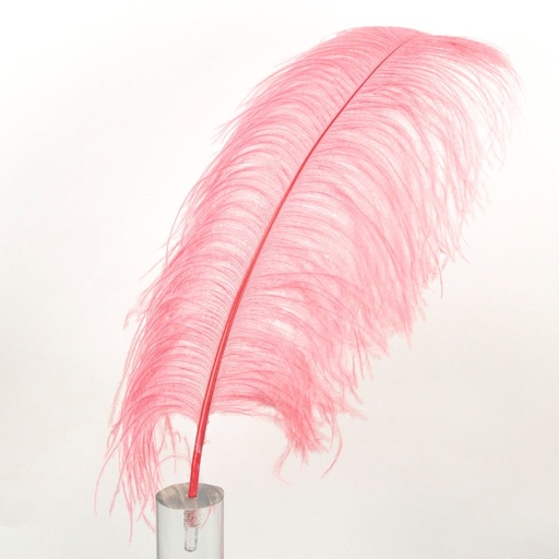 [B825--MG-PPR] Ostrich Femina Wide Prime Selected 1PC PKG 17-27 inch --Metgala Potpourri