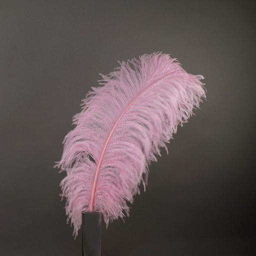 [B825--CP] Ostrich Femina Wide Prime Selected 1PC PKG 17-27 inch --Candy Pink