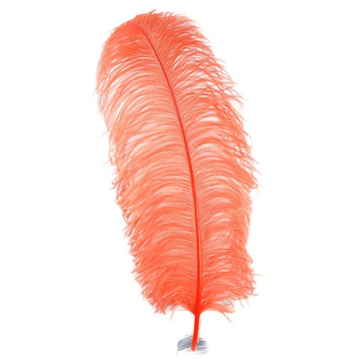 [B825--HO] Ostrich Femina Wide Prime Selected 1PC PKG 17-27 inch --Hot Orange