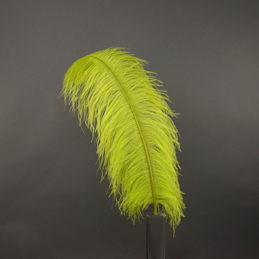 [B825--LM] Ostrich Femina Wide Prime Selected 1PC PKG 17-27 inch --Lime