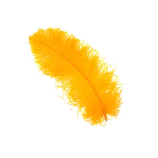 [B825--MNG] Ostrich Femina Wide Prime Selected 1PC PKG 17-27 inch --Mango