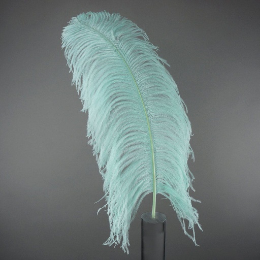[B825--MT] Ostrich Femina Wide Prime Selected 1PC PKG 17-27 inch --Mint