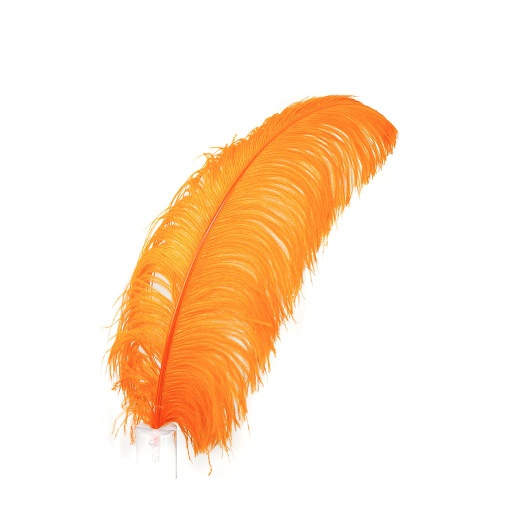 [B825--O] Ostrich Femina Wide Prime Selected 1PC PKG 17-27 inch --Orange