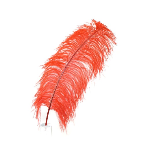 [B825--R] Ostrich Femina Wide Prime Selected 1PC PKG 17-27 inch --Red