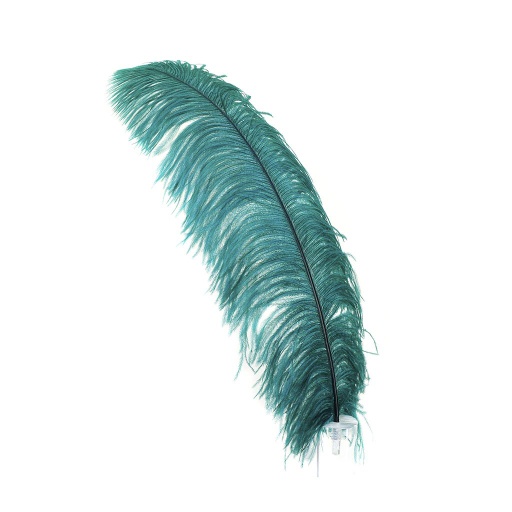 [B825--TE] Ostrich Femina Wide Prime Selected 1PC PKG 17-27 inch --Teal