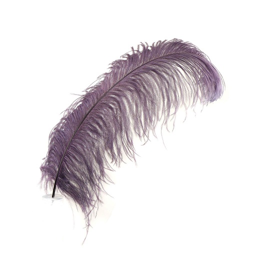 [B825--AMT] Ostrich Femina Wide Prime Selected 1PC PKG 17-27 inch --Amethyst