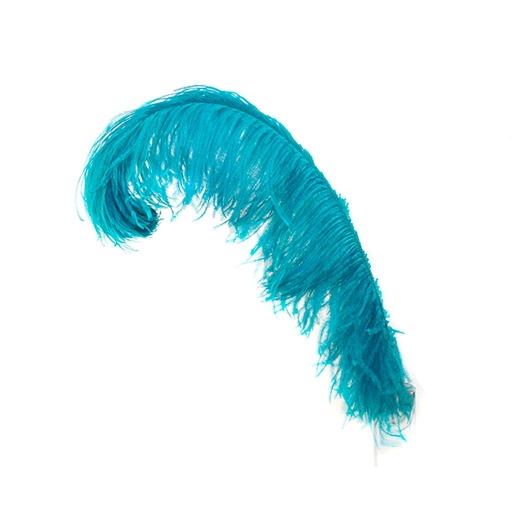 [B825--DKA] Ostrich Femina Wide Prime Selected 1PC PKG 17-27 inch --Dark Aqua