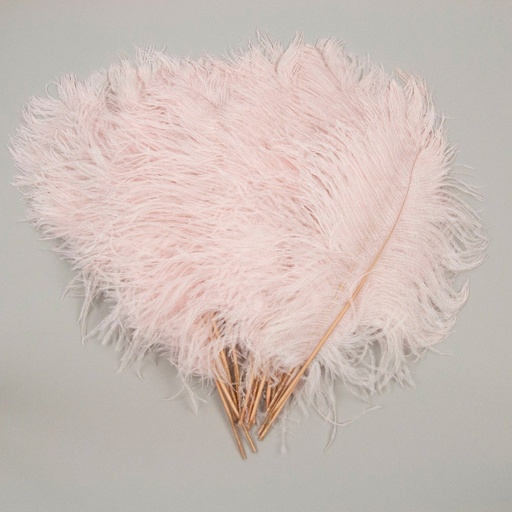 [OPT18-30--CHP] Ostrich Tails 30PC PKG 16-18 inch --Champagne