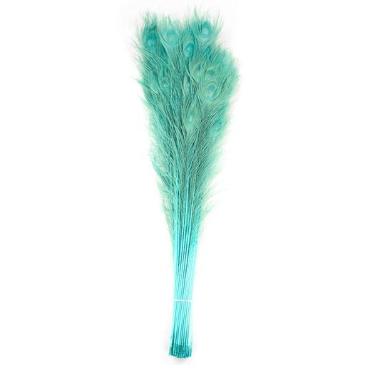 [P40B--LT] Peacock Eyes Bleach Selected 25-40 inch --Light Turquoise