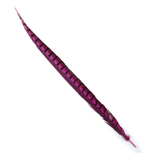 [LP30-1--FF] PH TAIL LDY AMH SEL 20-30-inch- FF 1PC